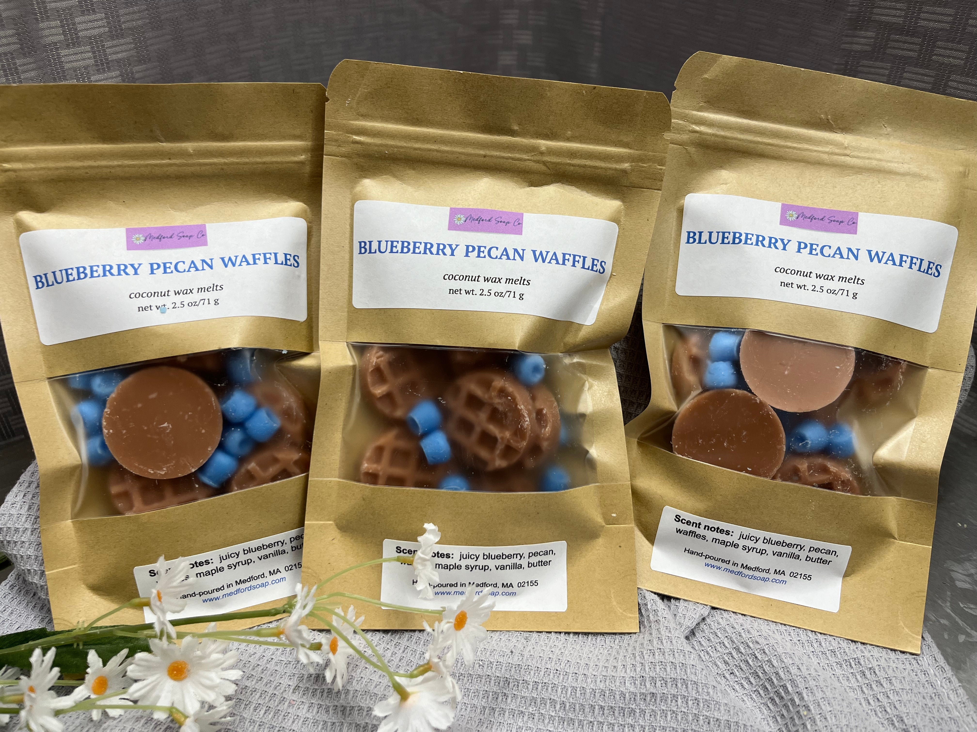 Wax Melts (shapes): Year-Round Collection – Medford Soap Co.