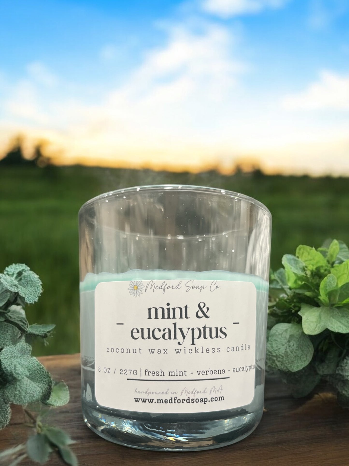 Wickless Candles & Wax Melt Cups