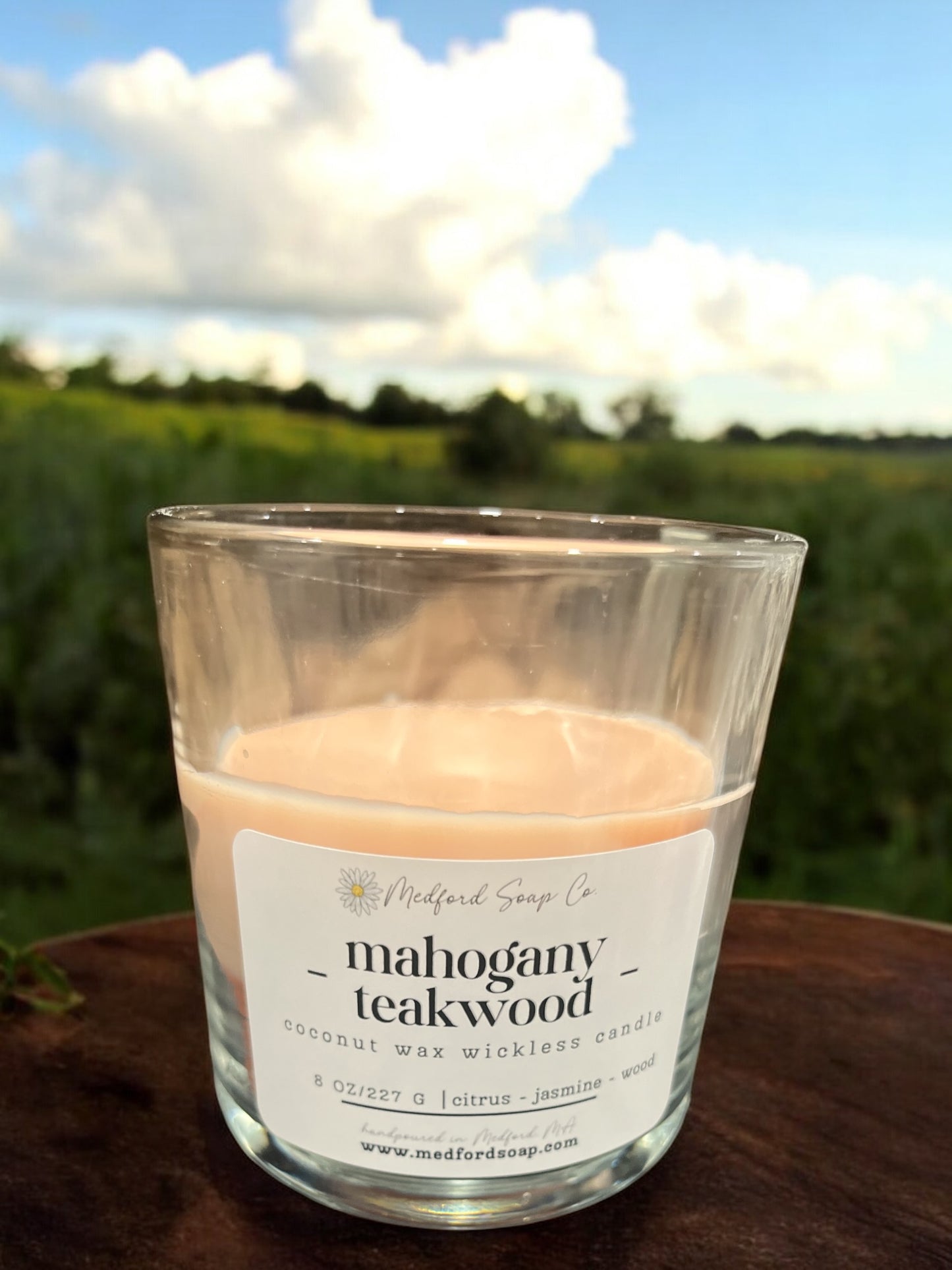 Wickless Candles & Wax Melt Cups