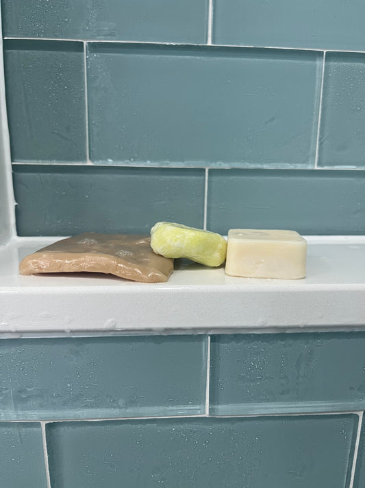 Shampoo & Conditioner Bars (travel/sample size)